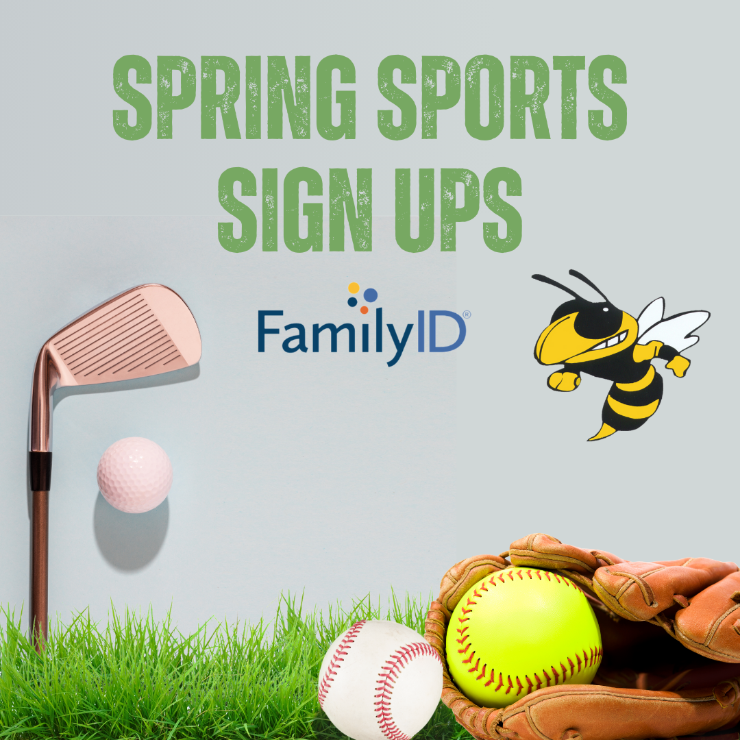  spring sports